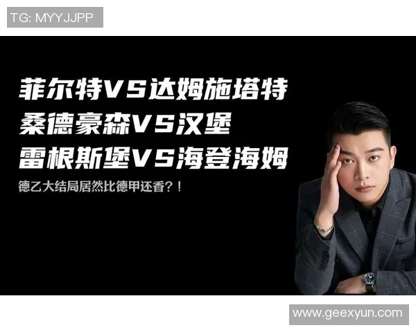 汉堡对桑德豪的精彩比赛比分分析与赛后点评