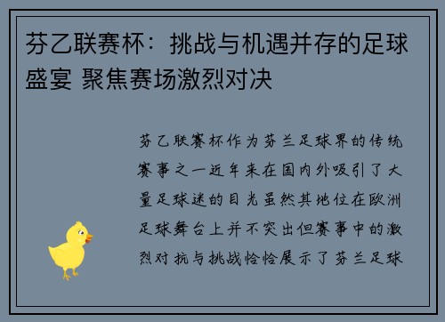 芬乙联赛杯：挑战与机遇并存的足球盛宴 聚焦赛场激烈对决