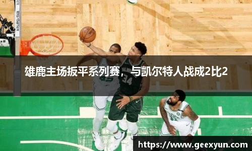 DB旗舰最新地址