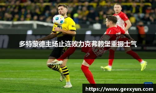 DB旗舰手机网页版登录